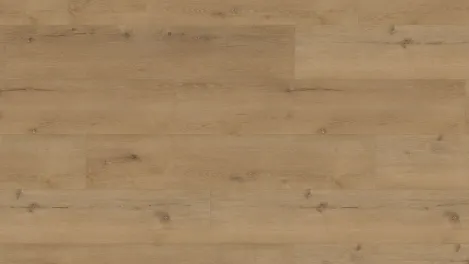 vivafloors Vinylboden Eiche 5004 zum Kleben mit realistischer Holzstruktur